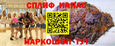 кокс Гатчина