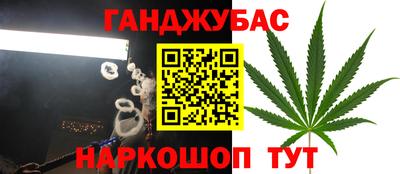 кокс Гатчина