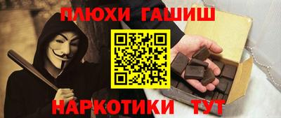 кокс Гатчина