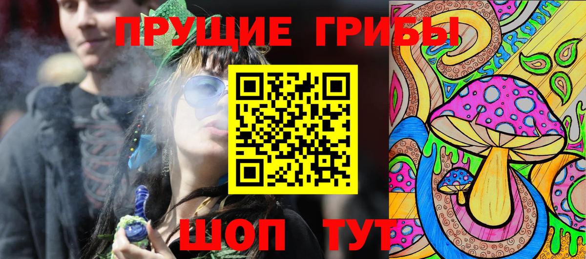 Галлюциногенные грибы Psilocybe Назарово